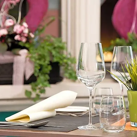 Hotel Buchserhof 3*